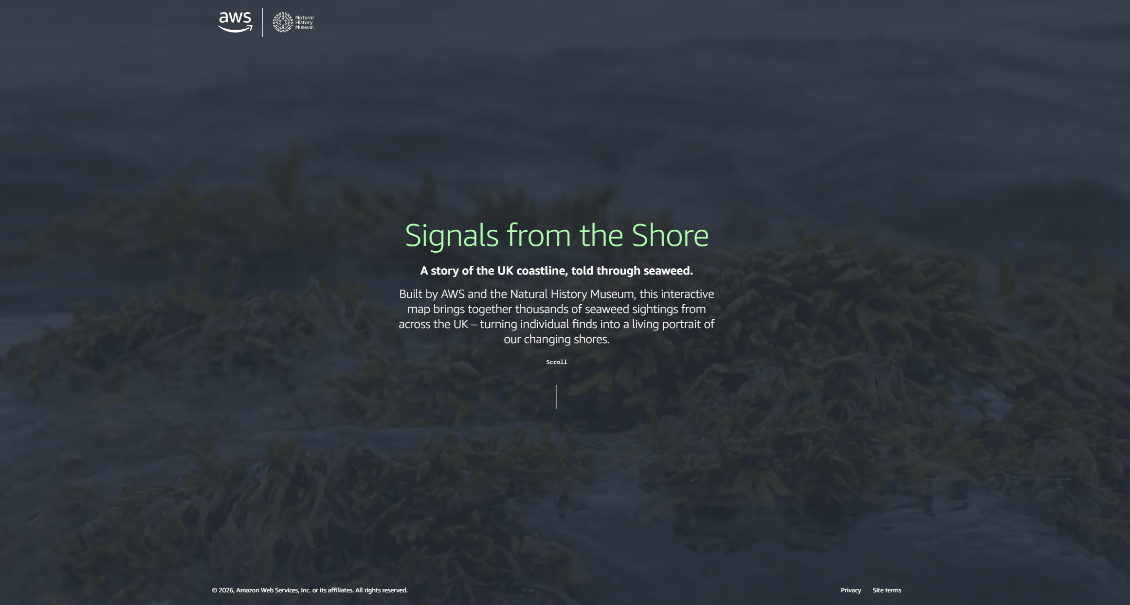 Signals from the Shore screenshot 2